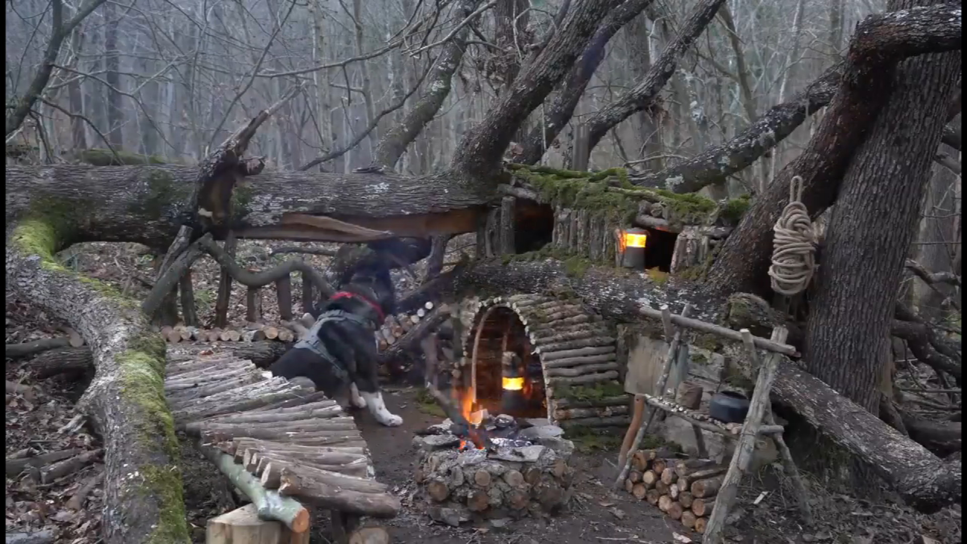 کمپینگ و ساخت کلبه چوبی شگفت ا...