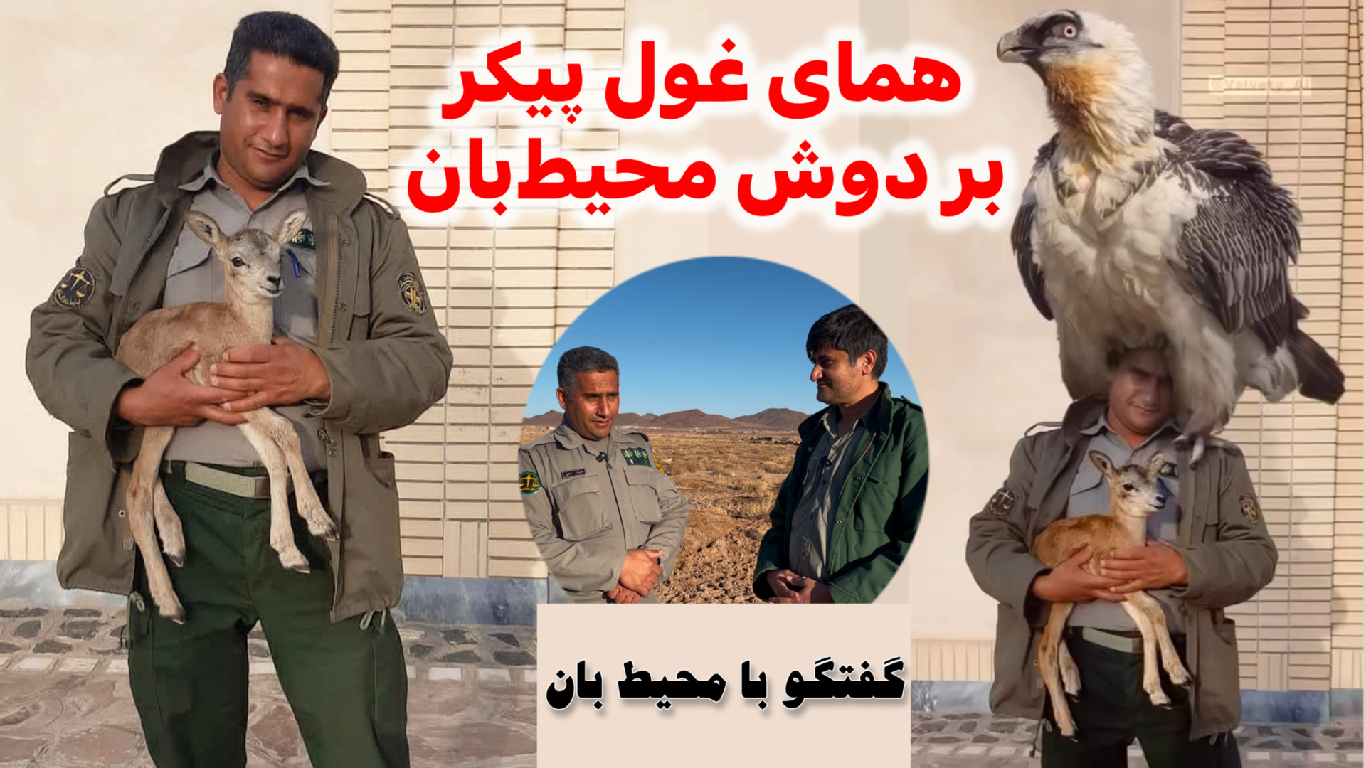 همای غول پیکر بر روی دوش محیط...