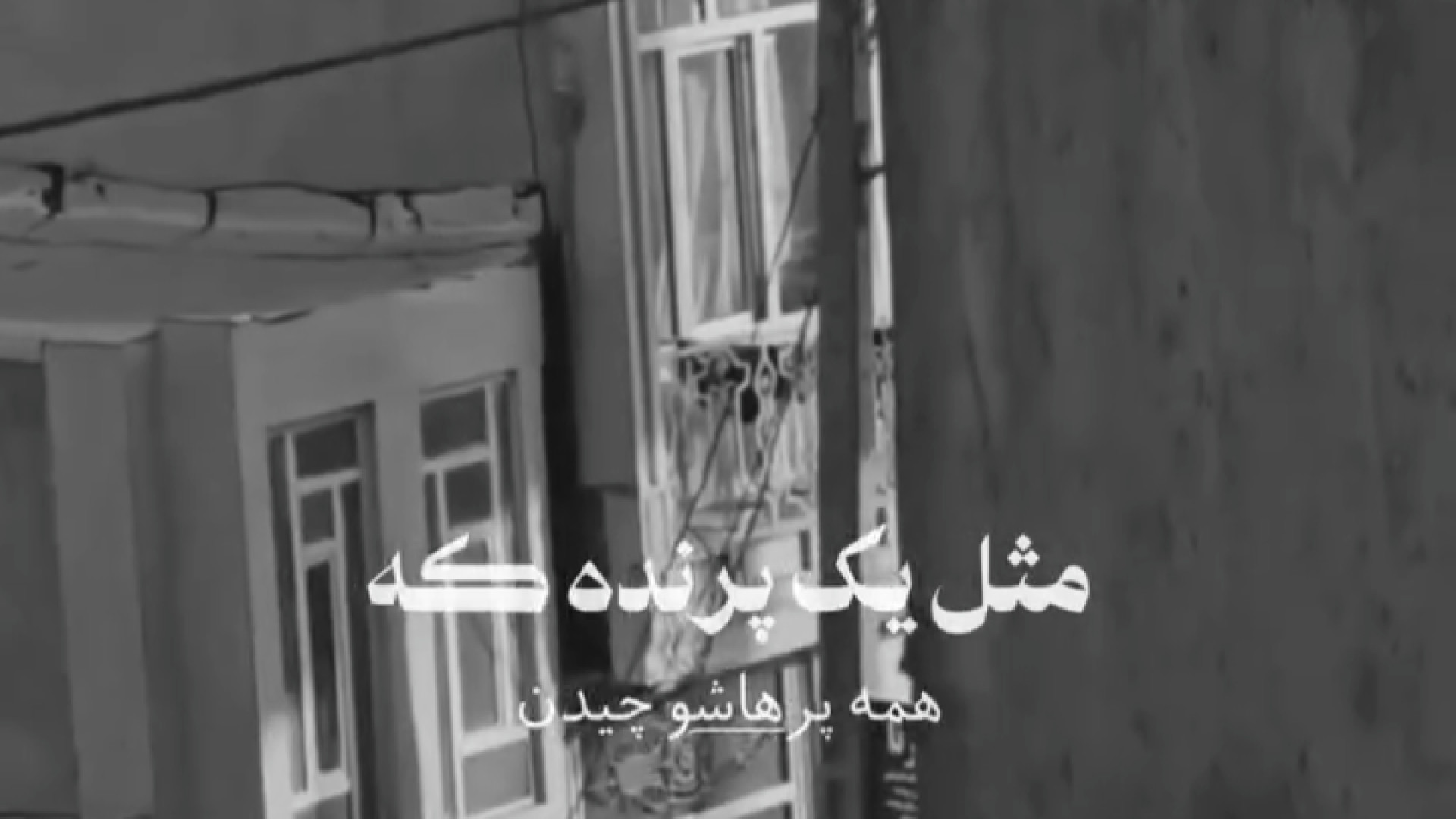 مثل یه پرنده که همه پرهاشو چیدن / صدای بهشتی پسر نابینا