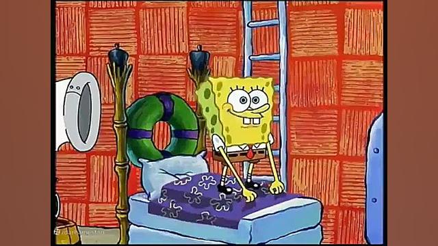 باب اسفنجی شلوار مکعبی