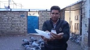 غریب گیری سیاه شصتی