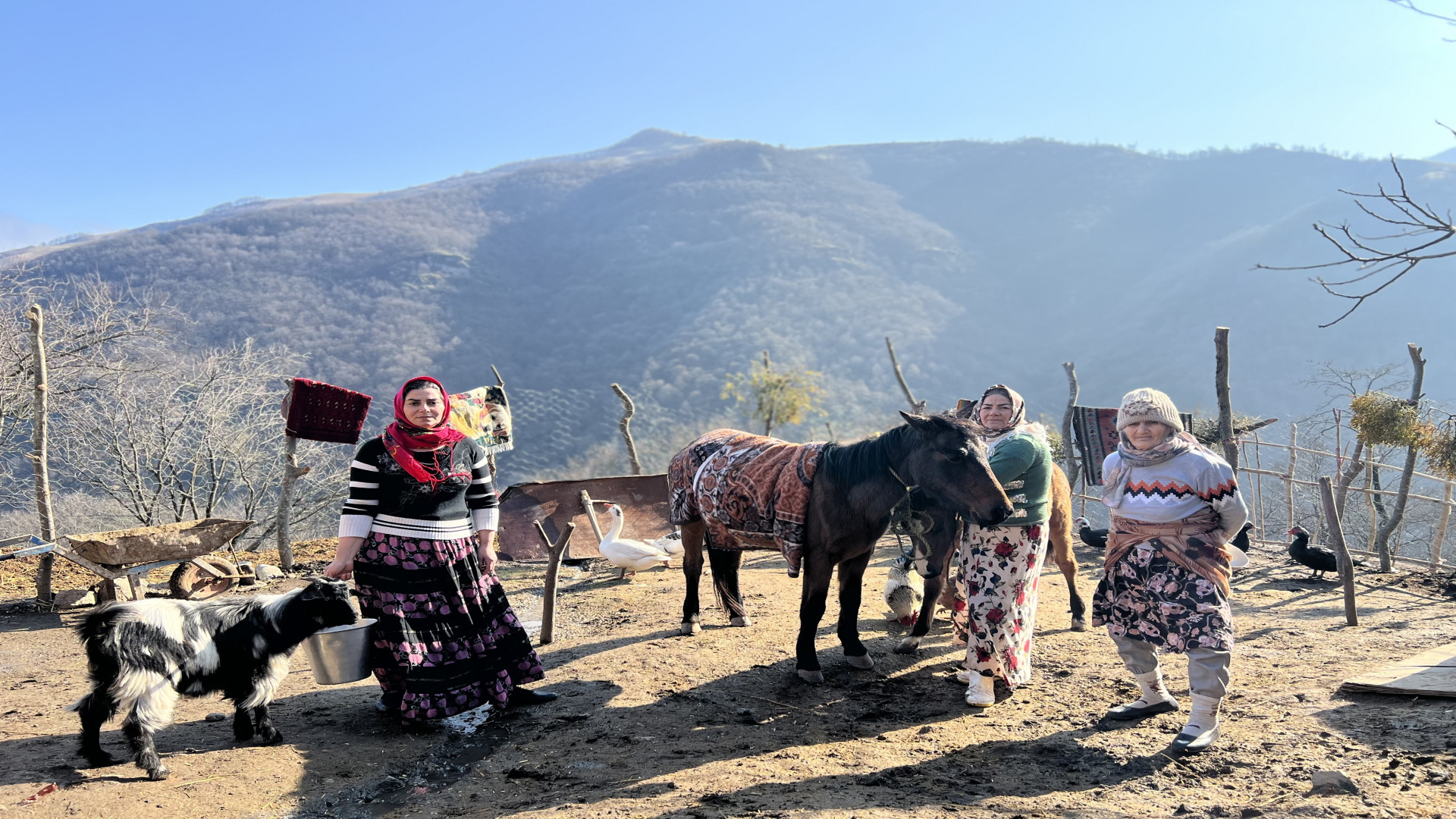 پخت کوکوی بادمجان