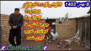 نمایشی از همه کبوترام پرشی ها...