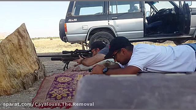 BSA R10 MKII .22 Ver MAX (40 J...