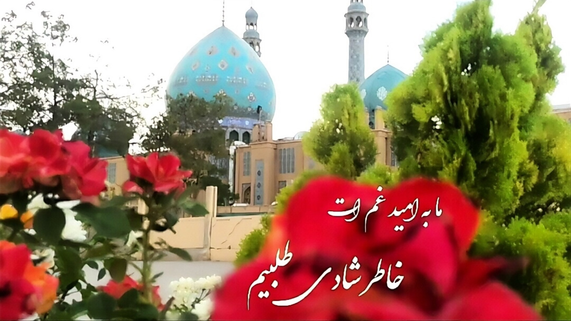 کلیپ نیمه شعبان تبریک ولادت ام...