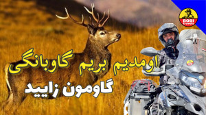 ولاگ سفر برای دیدن گاوبانگی، م...