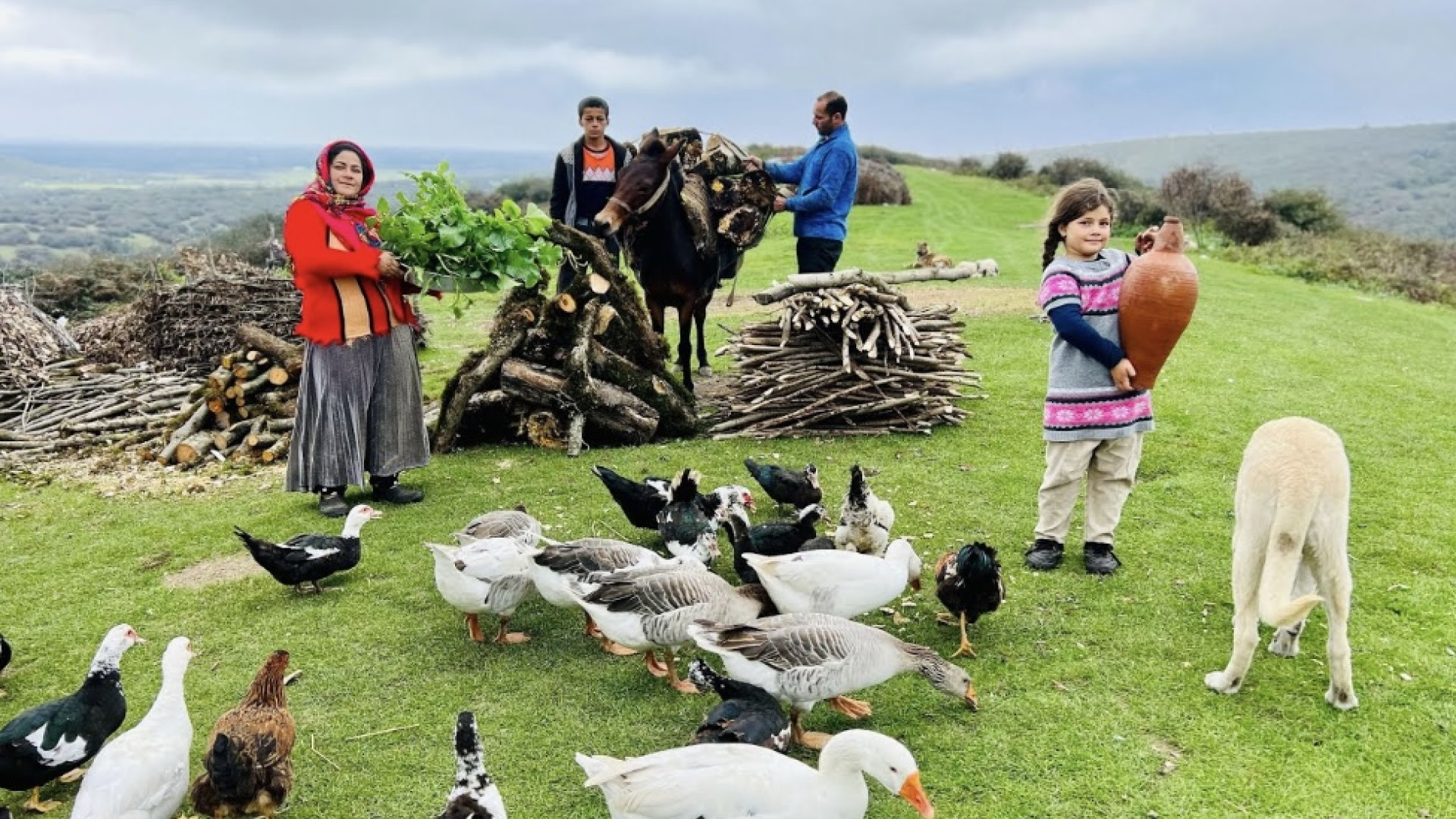 رفتن پدر و پسر به جنگل وآوردن...