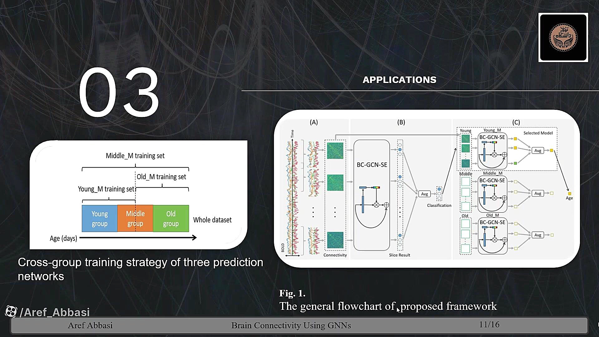 Analysis of Human Brain Functional Connectivity Using Graph Neural Networks