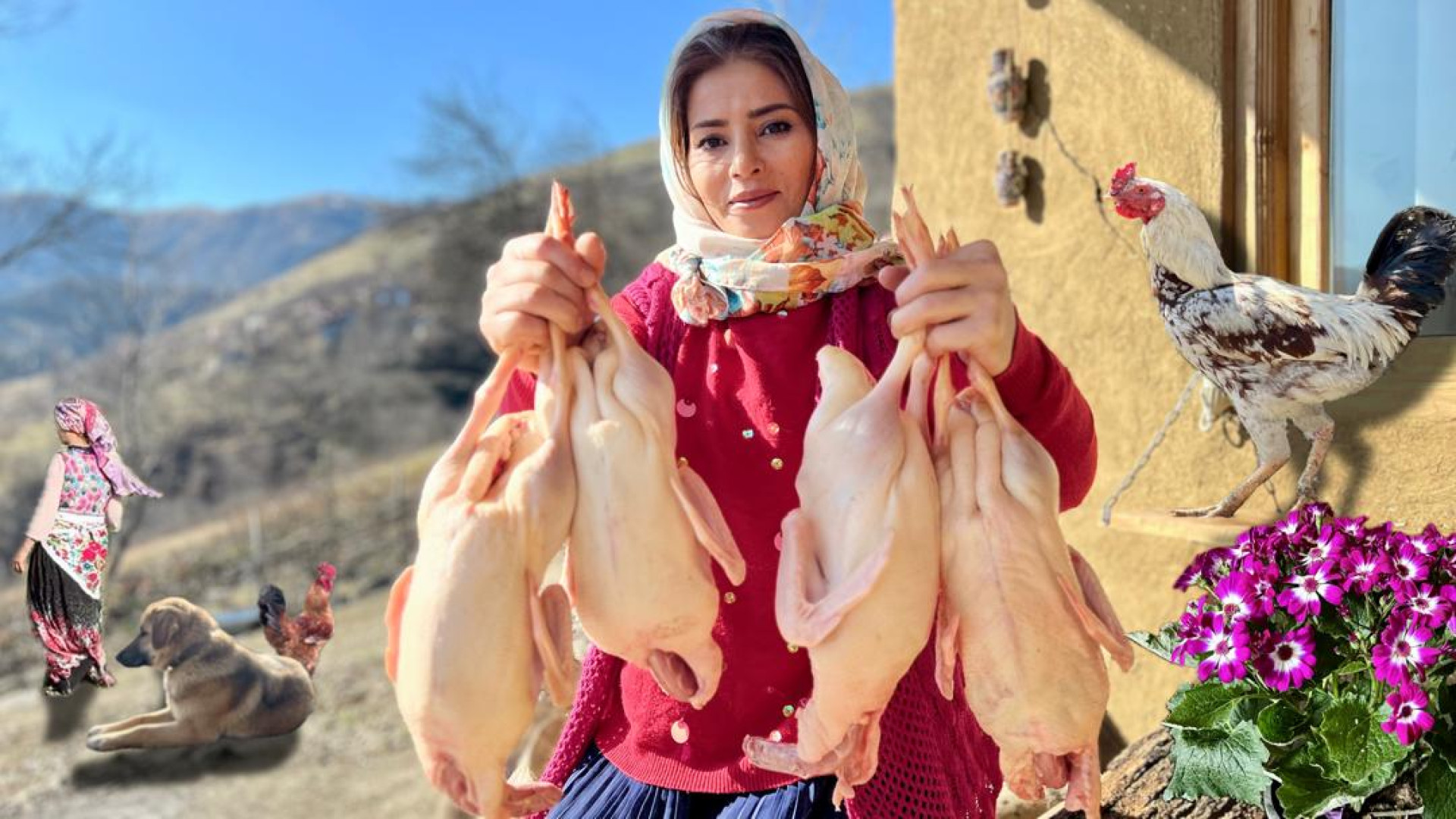 پخت اردک لا نخود پلو همراه با...