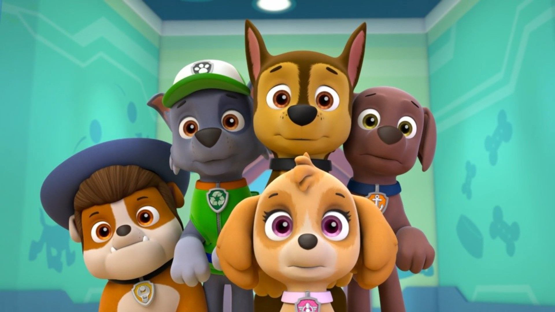 انیمیشن سگ های نگهبان  سگ های...