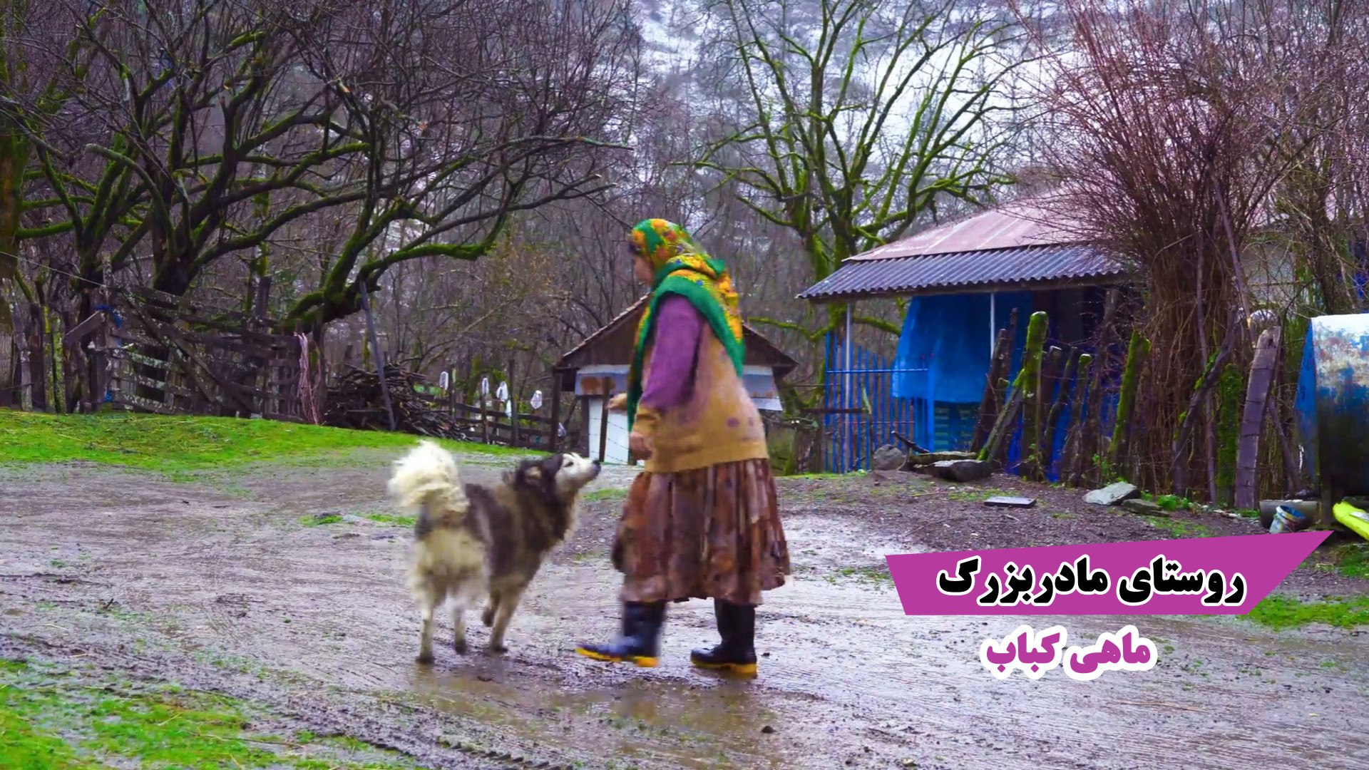 روستای مادربزرگ کباب ماهی تو ی...