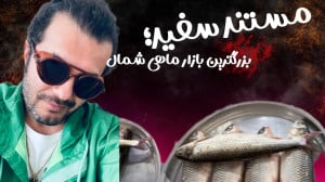 بازار ماهی شمال