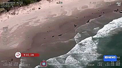 خودکشی ۱۵۷ نهنگ قاتل در استرال...