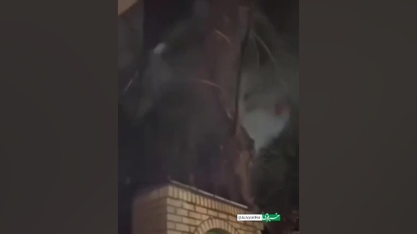 ️چنار ۷۰۰ ساله برغان آتش گرفت