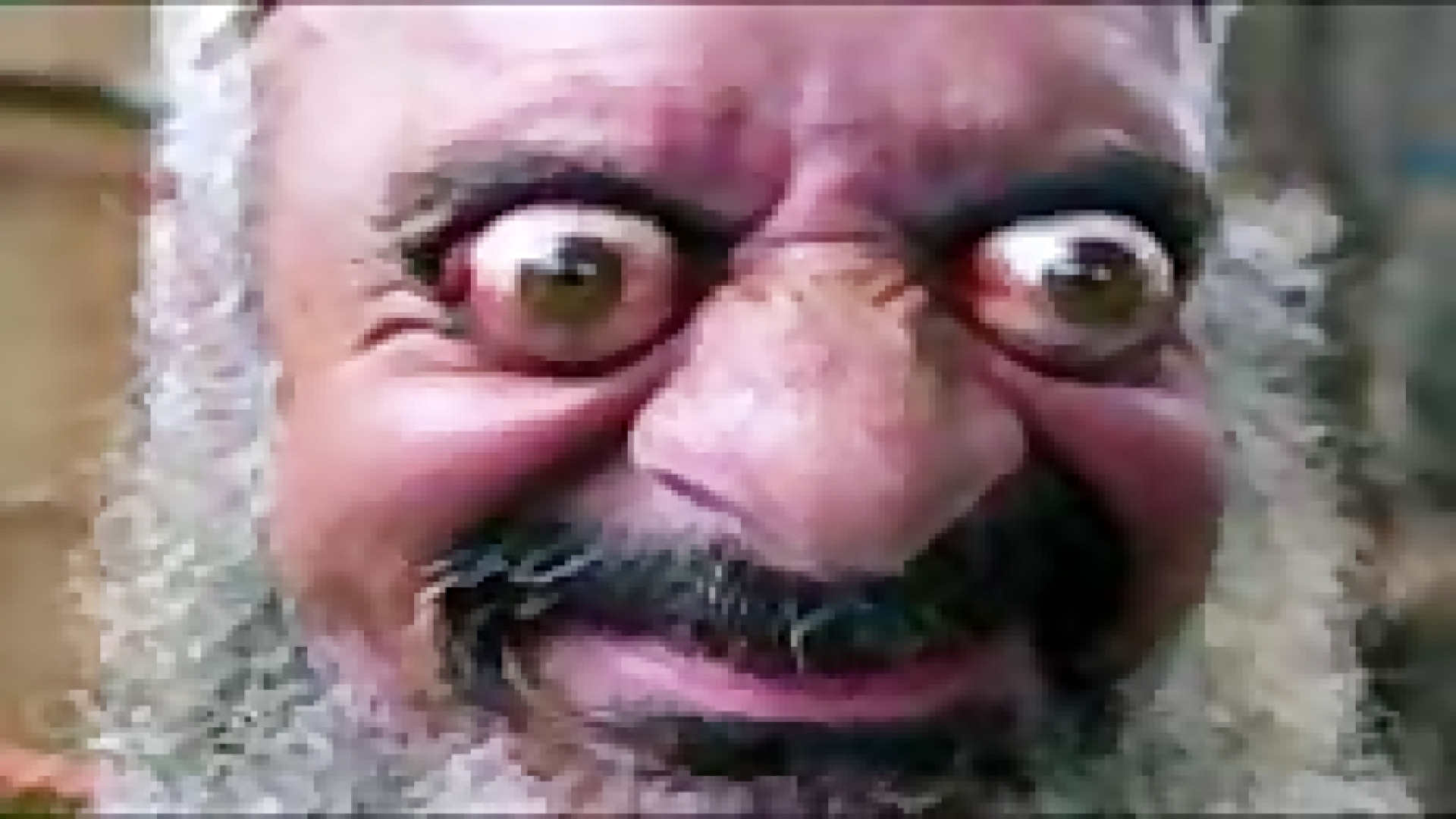 ممد قلی زنگ زد | افسانه ممد قل...