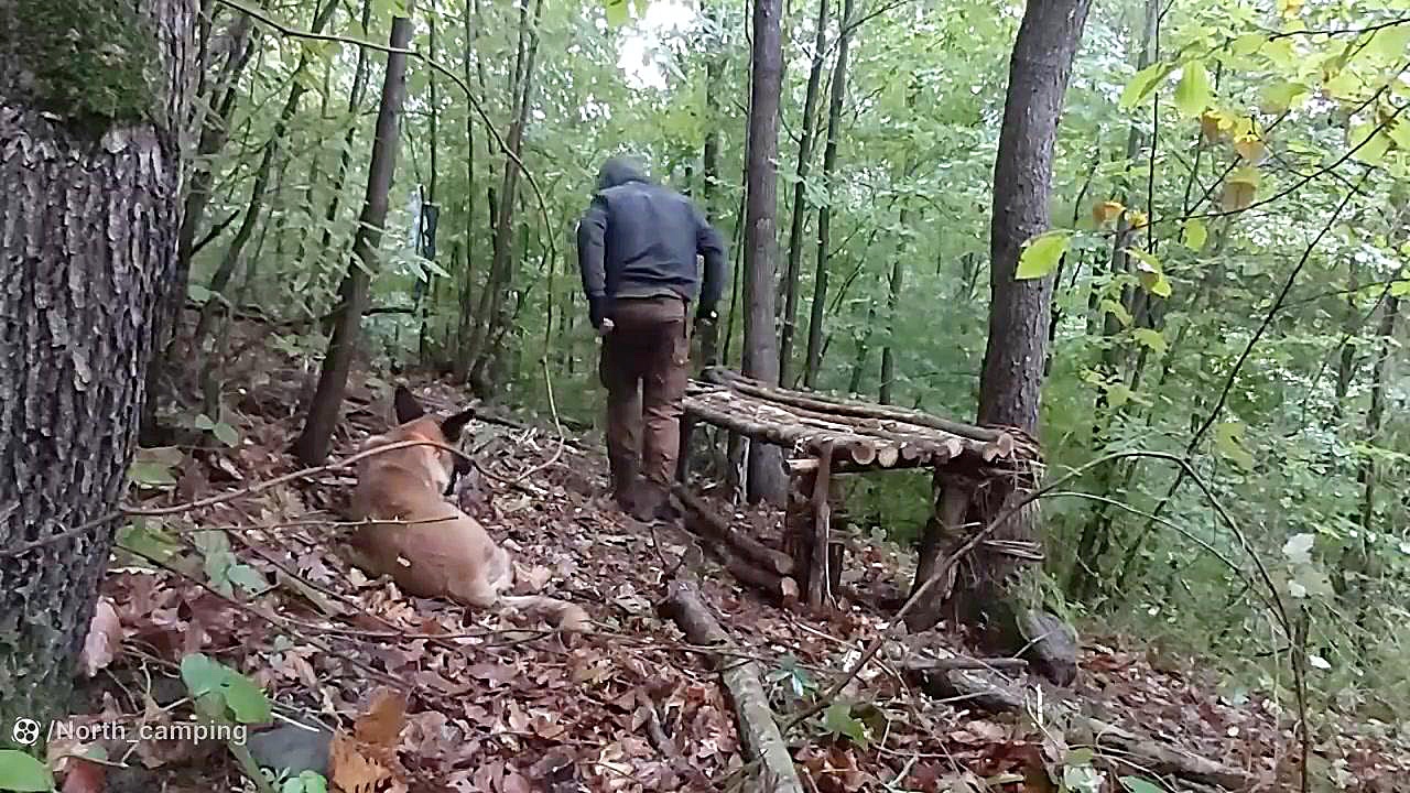 کمپینگ و ساخت کلبه چوبی در جنگ...