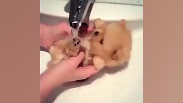 دابسمش های فوق العاده خنده دار...