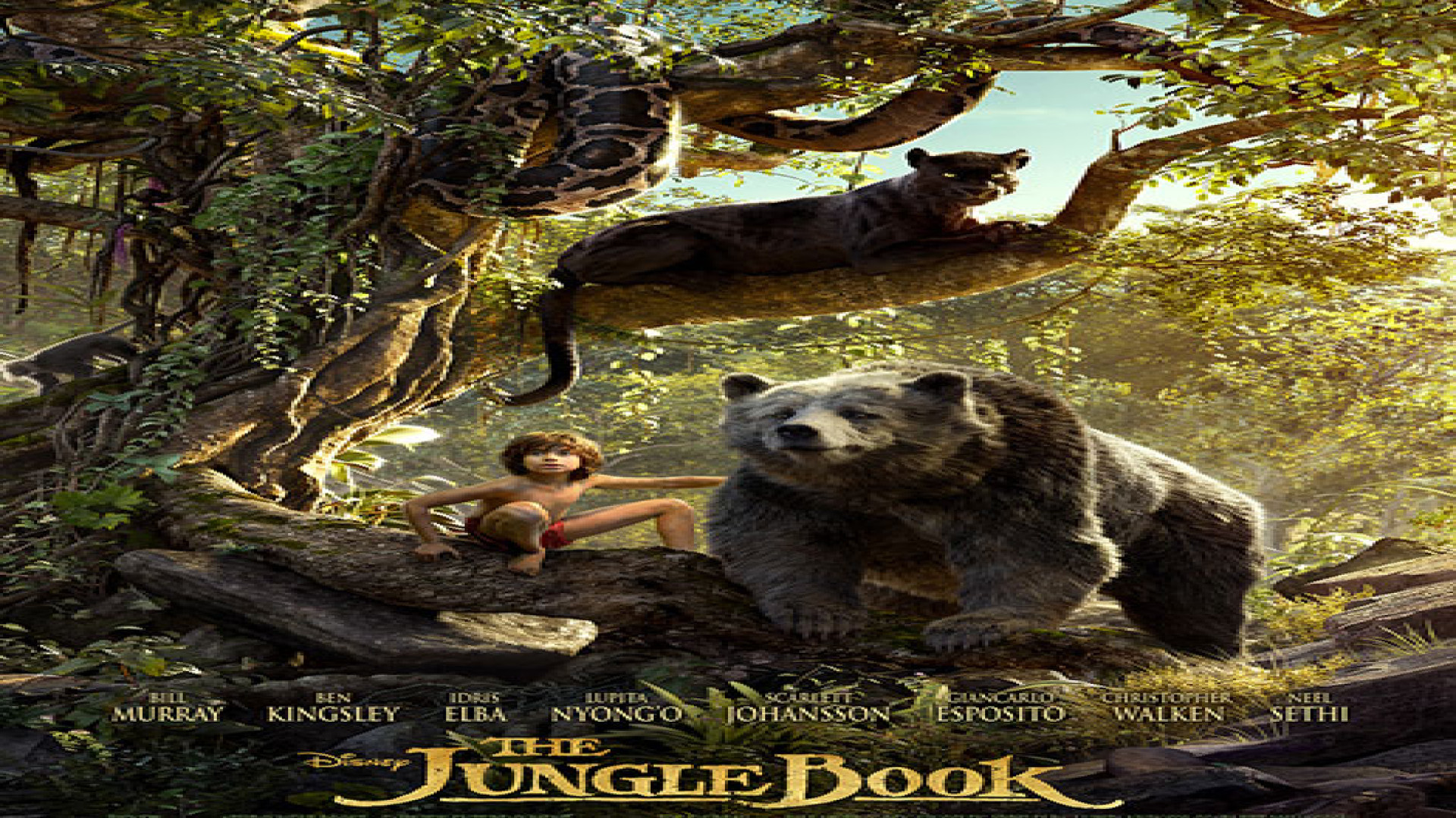 فیلم سینمایی The Jungle Book 2016 زبان اصلی زمان6354ثانیه