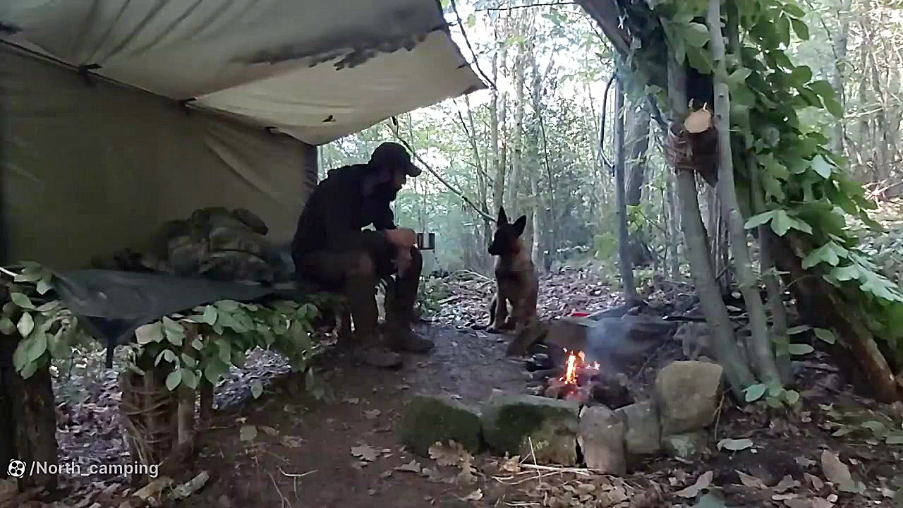 کمپینگ و ساخت کلبه چوبی در جنگ...