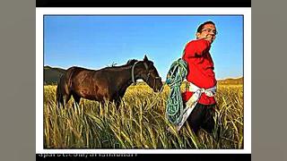 محسن میرزازاده  بهار