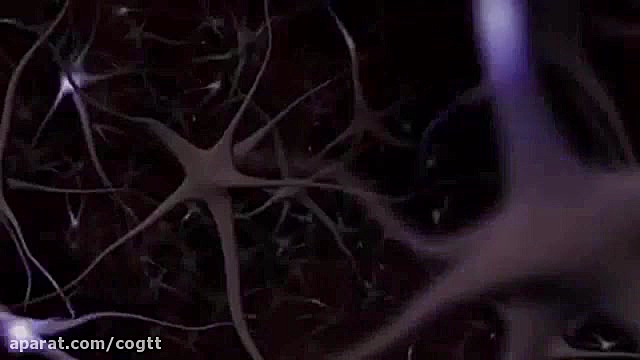 علوم شناختی