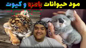 مود حیوانات کیوت و بامزه در ما...