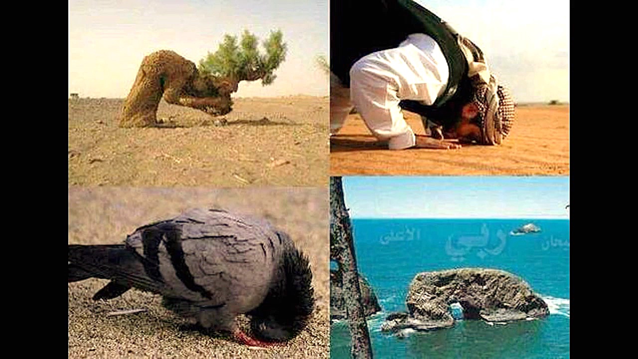 الله سُبحانَ الله، الله حَمداً...