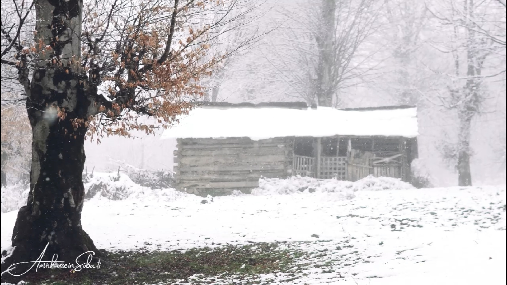 آرامش کلبه برفی | صدای طبیعت ب...