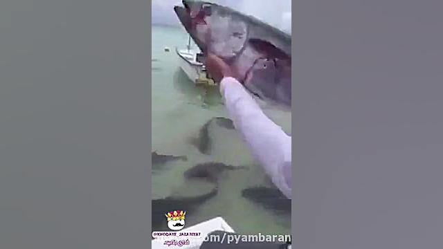 دخترا وقتی یه پسر خوشگل می بین...