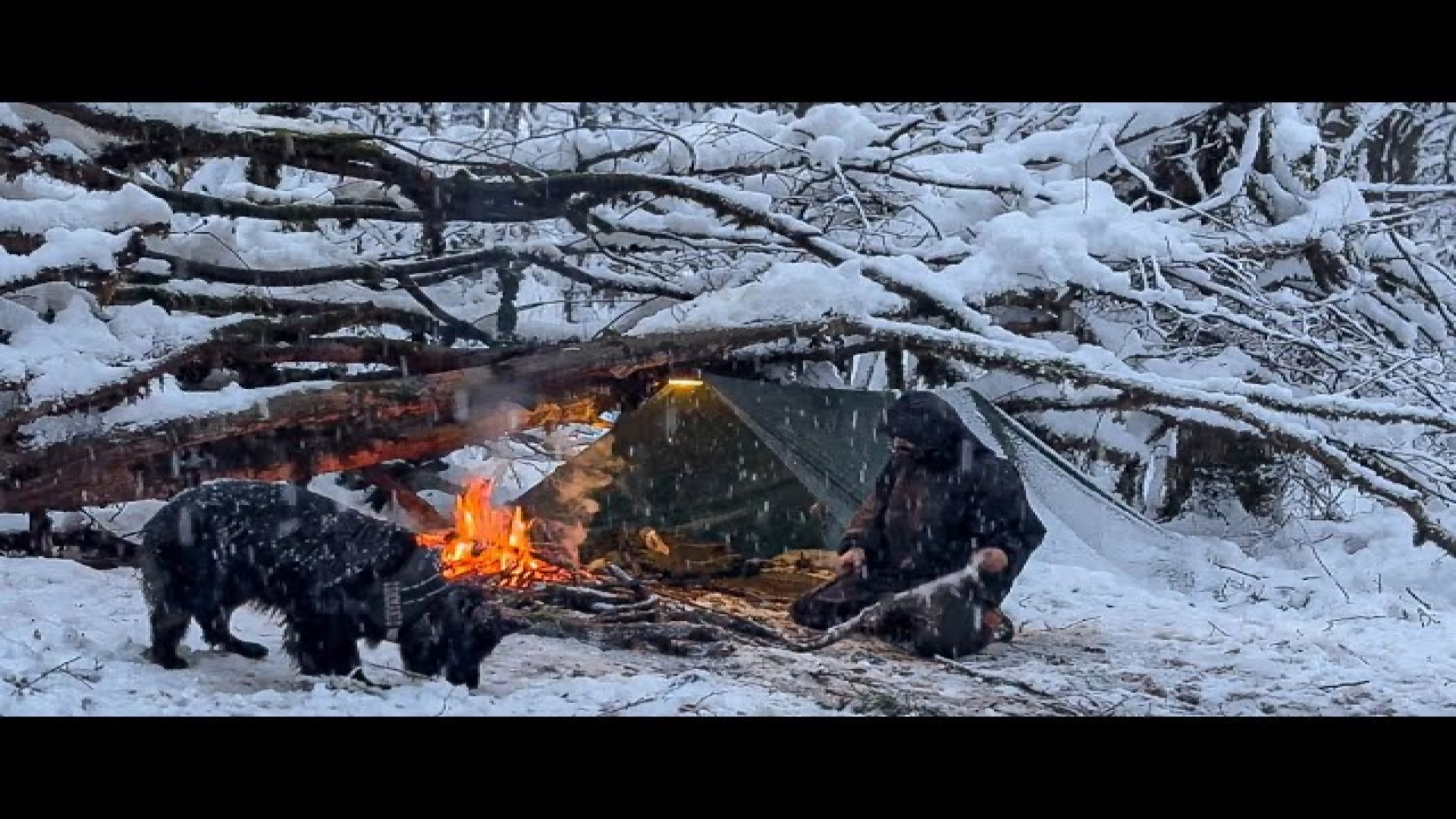 کمپ در دمای ۲۴ درجه سانتی‌گراد...