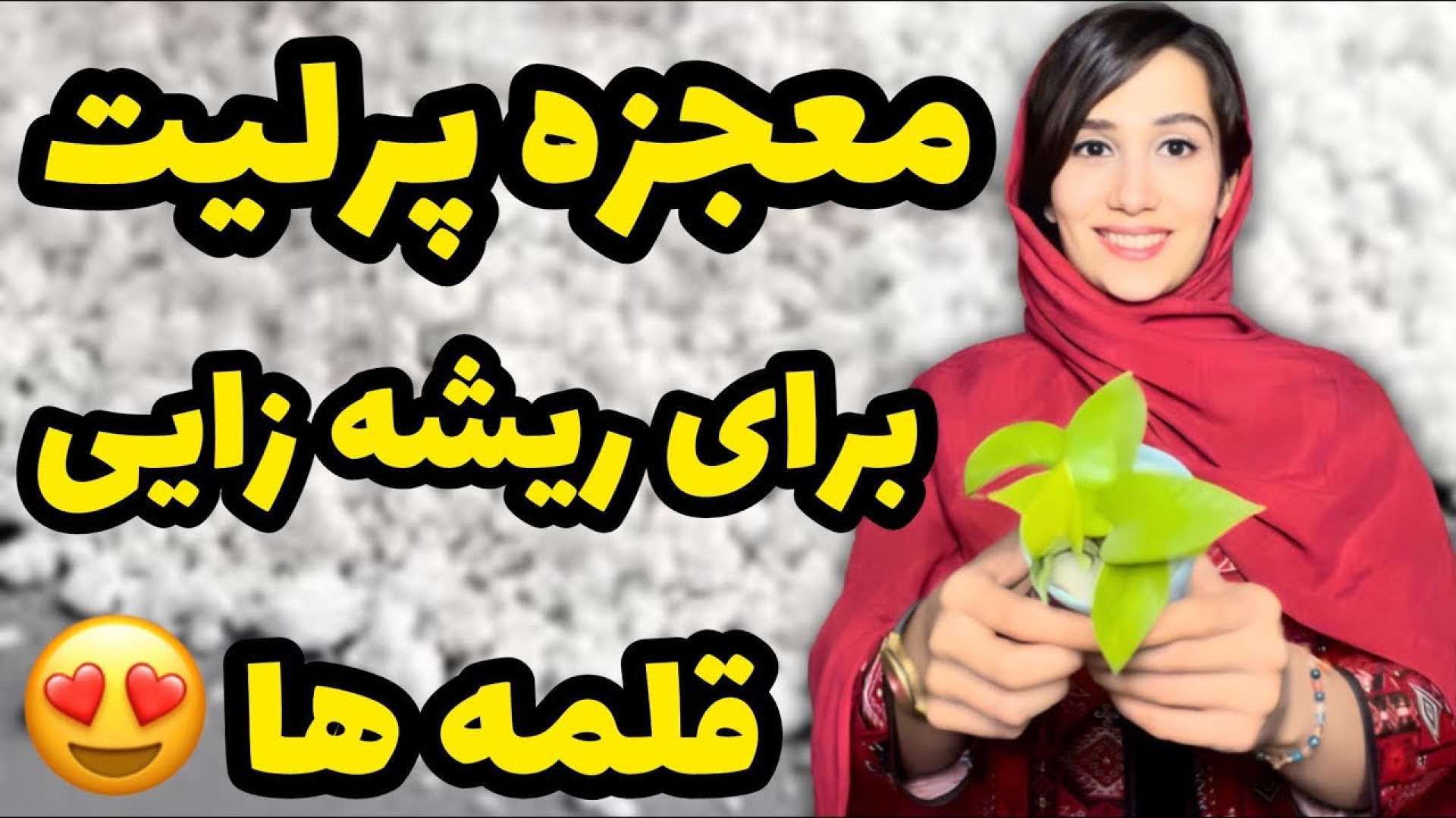 معجزه پرلیت برای ریشه دار کردن...