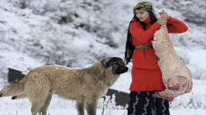 پختن آبگوشت گوسفند در دهکده ای...