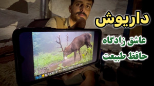 داریوش ؛ جوانی که عاشق زادگاه...