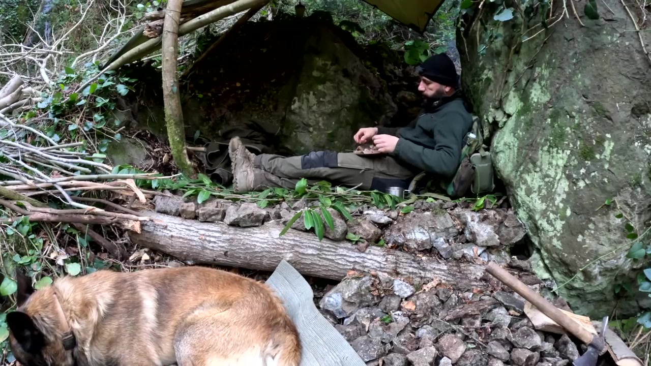 کمپینگ و ساخت پناهگاه در جنگل