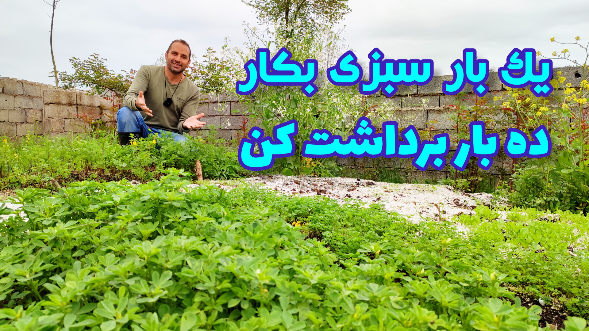 بهترین روش کاشت سبزیجات