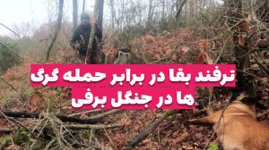 کمپینگ شگفت انگیز در دل جنگل ب...
