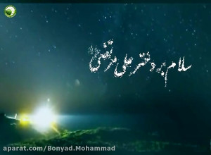 زینت علی