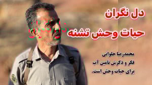دل نگران حیات وحش تشنه ؛ محیط...