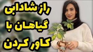 راز شادابی و احیا گیاهان با کا...