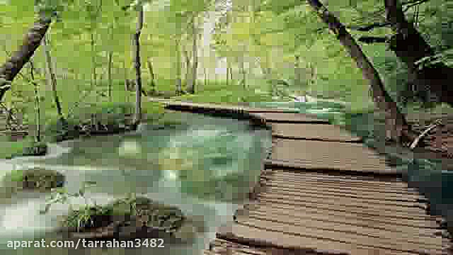 موزیک چیل اوت  S1