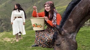 صفر تا صد کاشت و برداشت برنج د...
