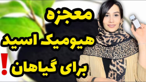 معجزه شگفت انگیز هیومیک اسید ب...