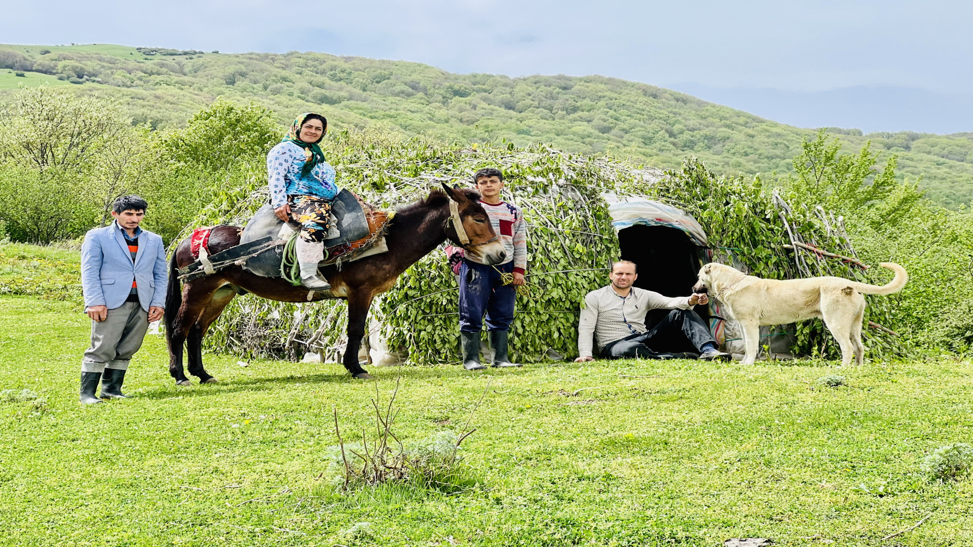 برپایی چادر عشایر و آماده شدن...
