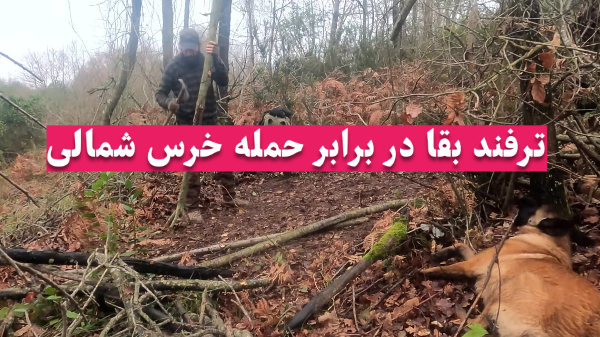 کمپینگ بوشکرفت ، ساخت کلبه چوب...