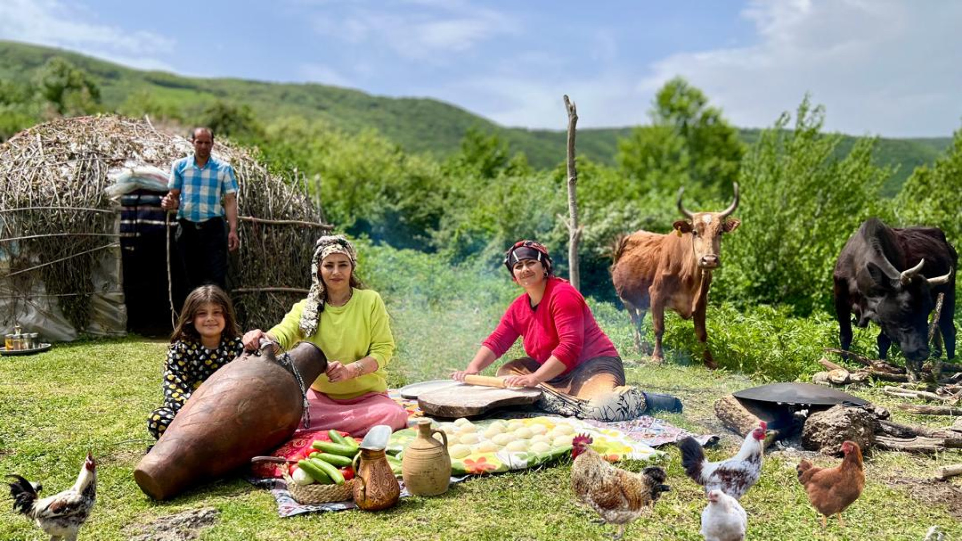 زندگی عشایری، دوشیدن گاوها و ت...