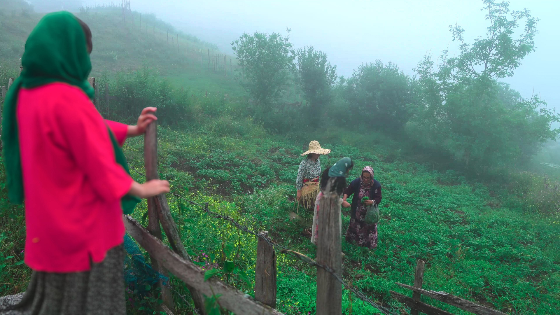 از بازار تا قبرستان | دختران ر...