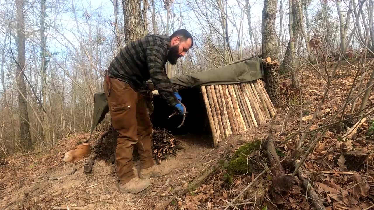 کمپینگ در جنگل با مهارت های بق...