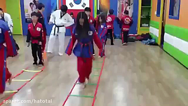 افزایش سرعت و چابکی با نردبان...