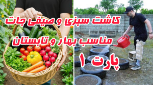 صفر تا صد کاشت سبزی و صیفی جات...