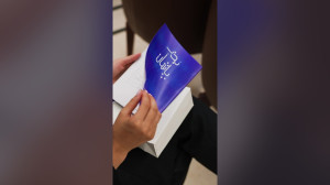 ریل سرمایهگذاران بذرپاشان